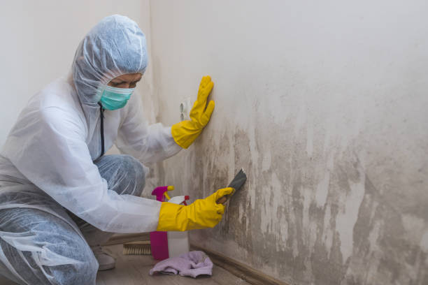 Best Industrial Mold Remediation  in Vass, NC