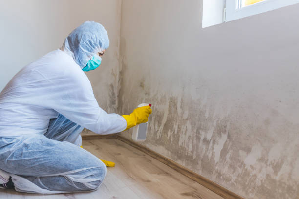 Biohazard Mold Removal in Vass, NC