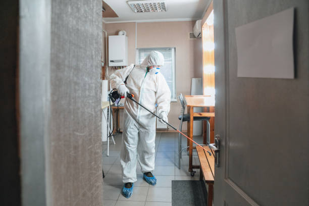 Forensic Mold Investigation in Vass, NC