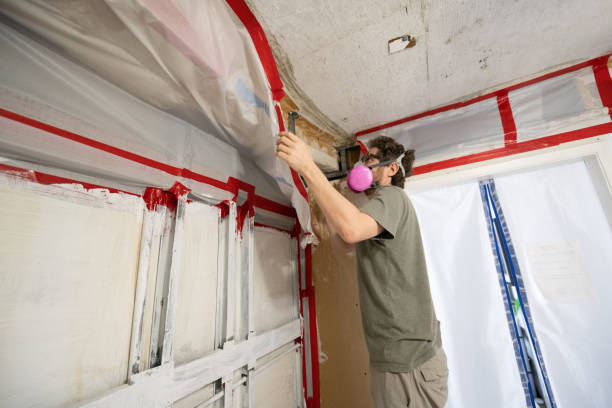 Best Comprehensive Air Testing for Mold Contaminants  in Vass, NC