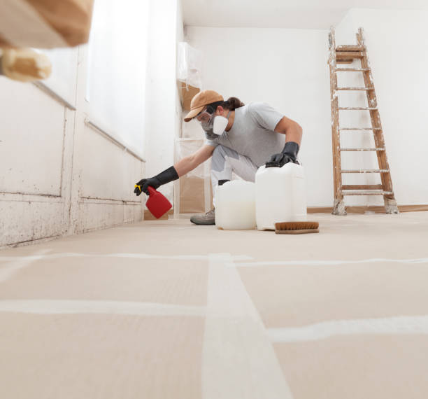 Best Mold Documentation for Insurance Claims  in Vass, NC